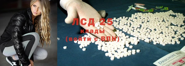 крисы Алзамай