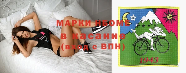 крисы Алзамай